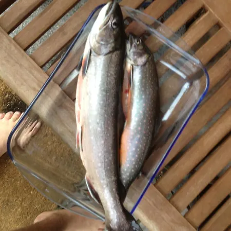 Dağ evi Waldhaus Ahornau *