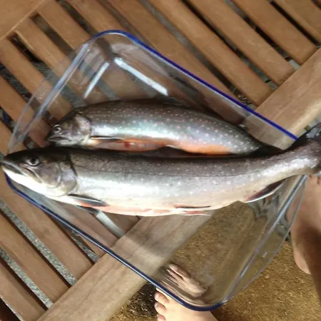 Waldhaus Ahornau Domek alpejski