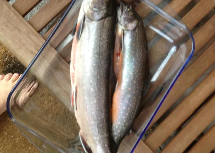 Dağ evi Waldhaus Ahornau *