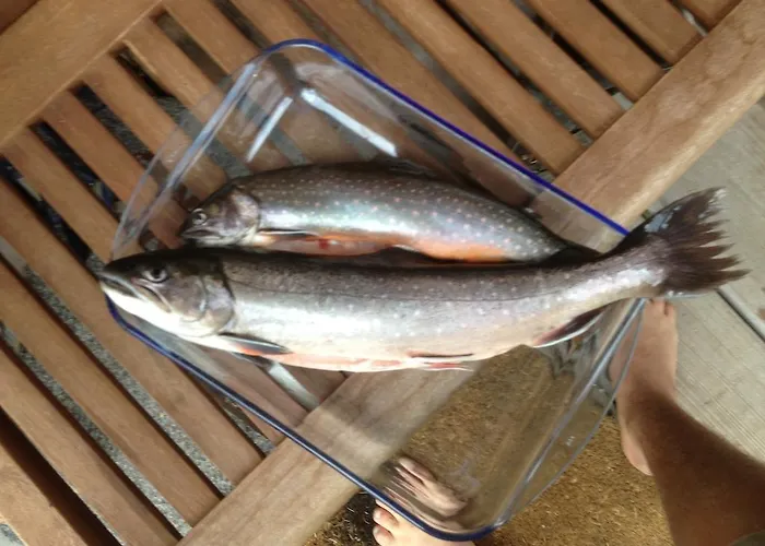 Waldhaus Ahornau Chalet